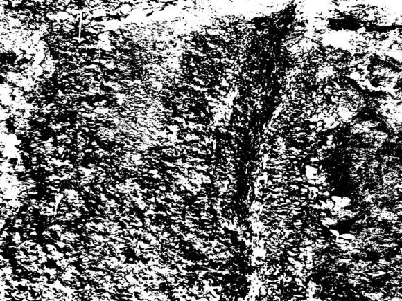 Stone Texture: Elevating Digital Design with Authentic Materiality